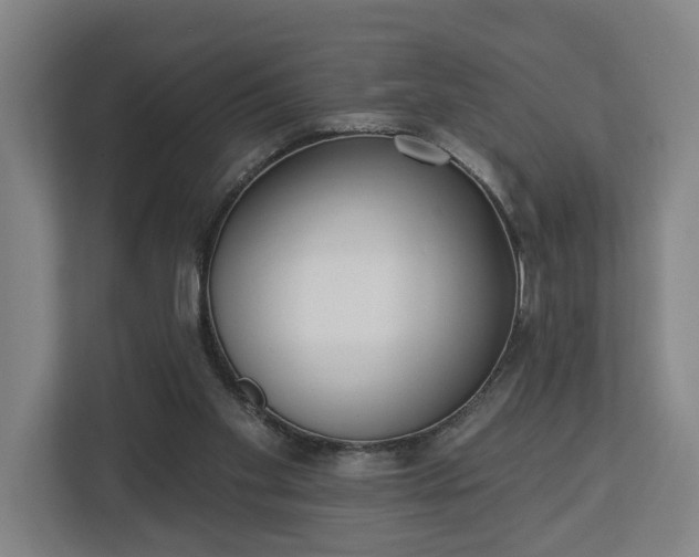 X0000113100109200909041234