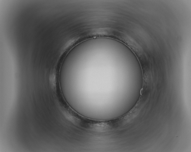X0000113100112200909041234