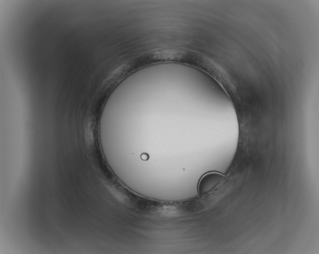 X0000113100114200909041234
