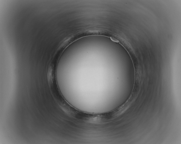 X0000113100116200909041234