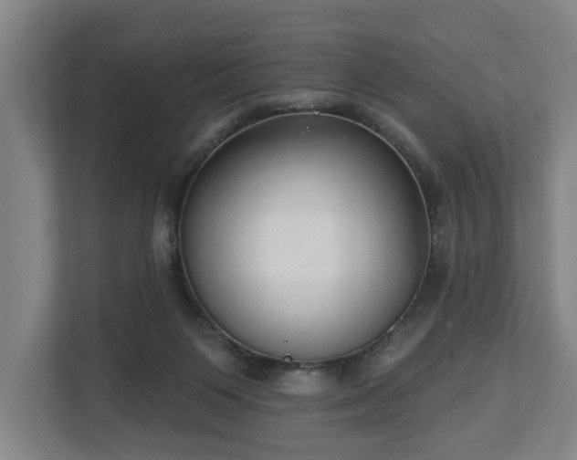 X0000113100119200909041234