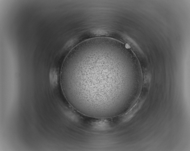 X0000113100124200909041234