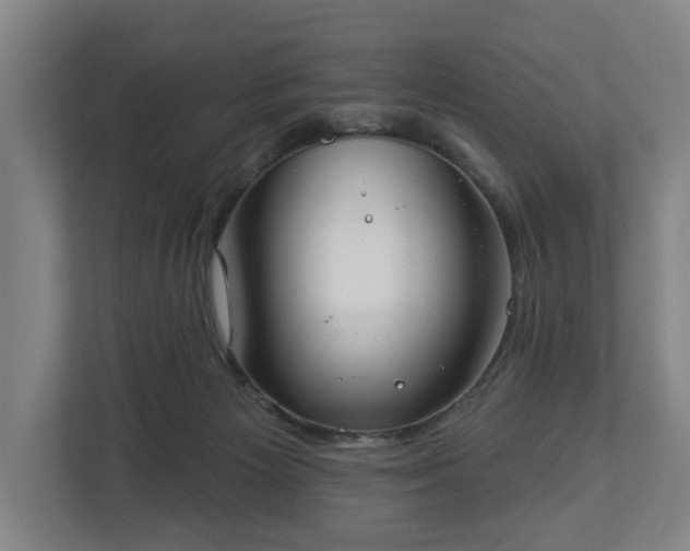 X0000113100125200909041234