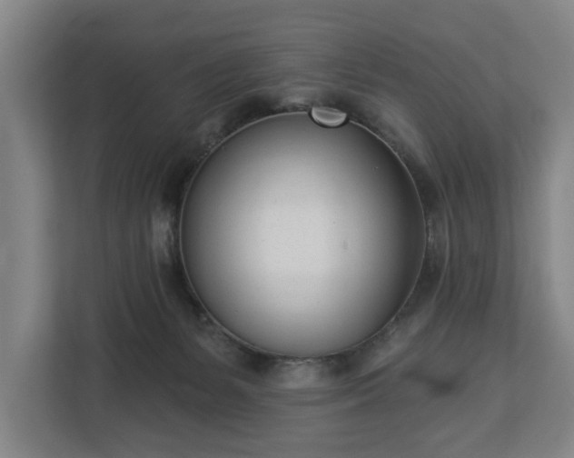 X0000113100127200909041234