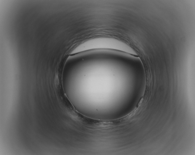 X0000113100128200909041234