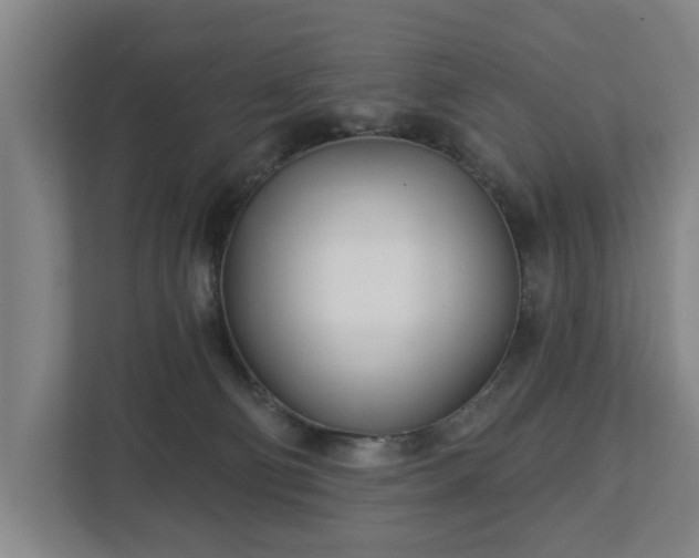 X0000113100130200909041234