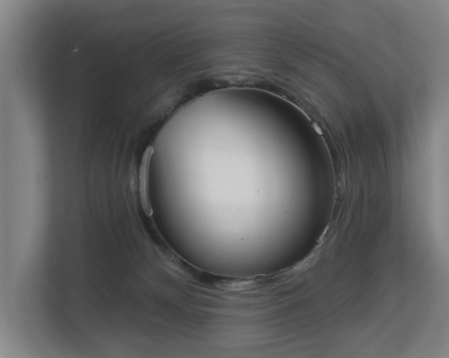 X0000113100132200909041233