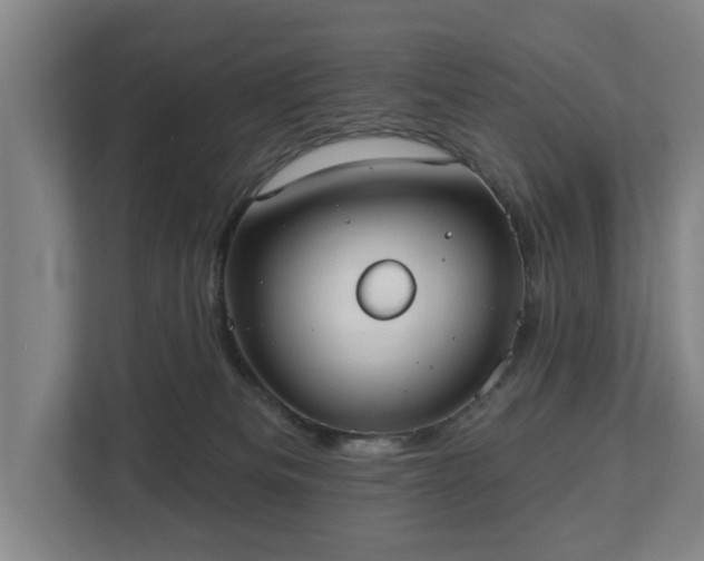 X0000113100133200909041233