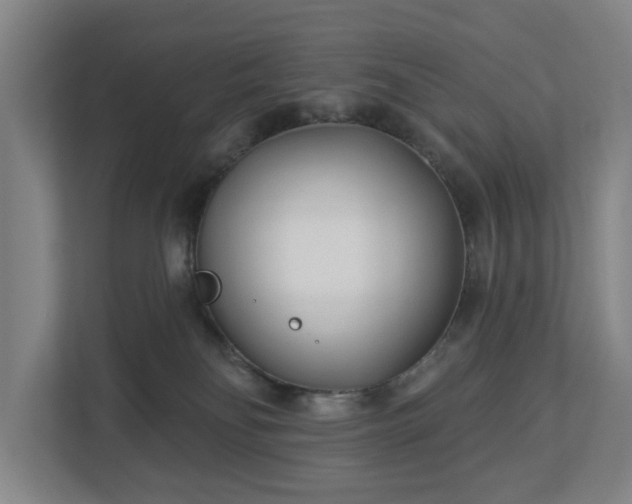 X0000113100134200909041233