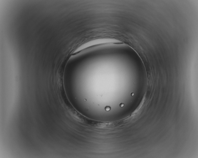 X0000113100136200909041233
