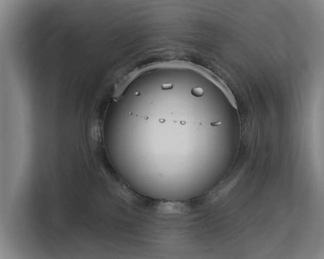 X0000113100137200909041233