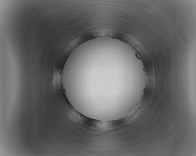 X0000113100142200909041233