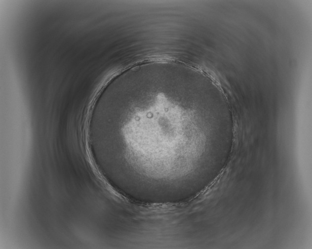X0000113100145200909041233
