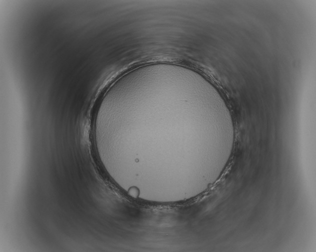 X0000113100146200909041233