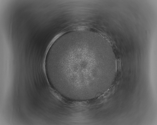 X0000113100147200909041233