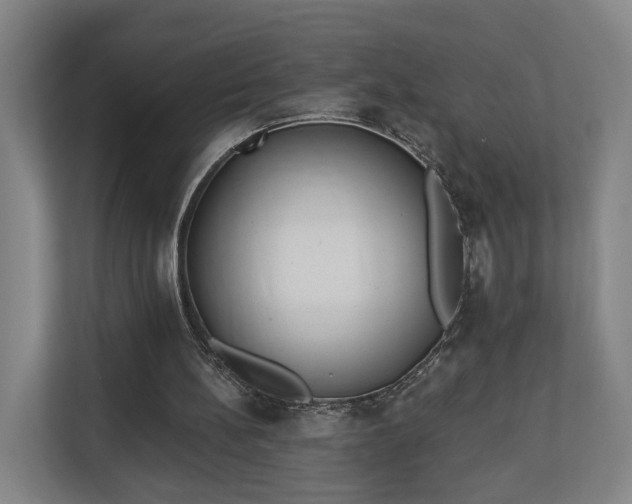 X0000113100148200909041233