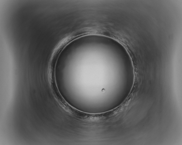 X0000113100149200909041233