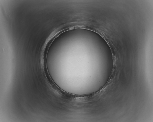 X0000113100150200909041233