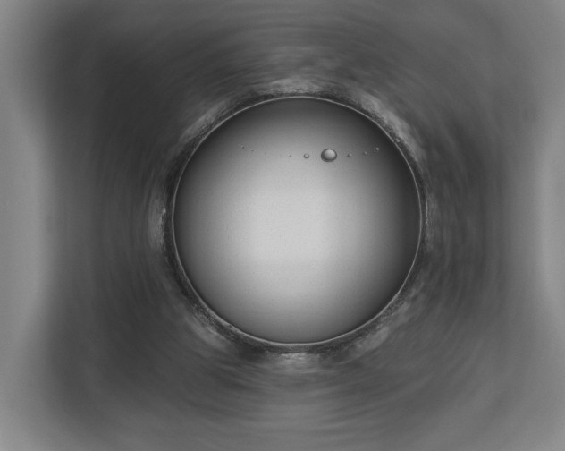 X0000113100153200909041233