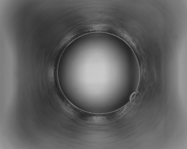 X0000113100154200909041233