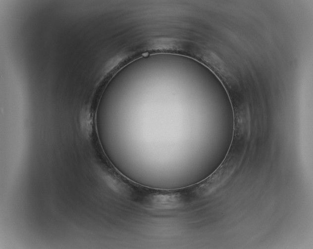 X0000113100160200909041233