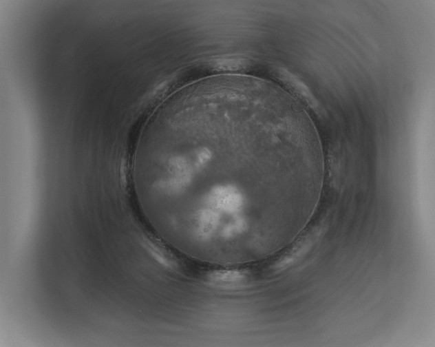 X0000113100161200909041233