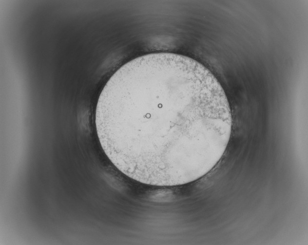 X0000113100162200909041233