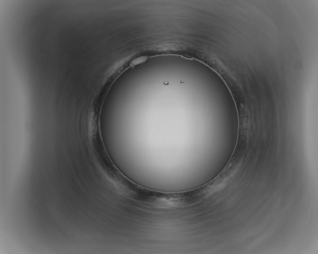 X0000113100164200909041233