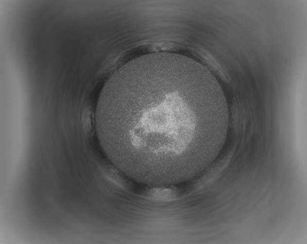 X0000113100169200909041233