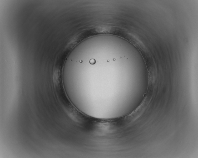 X0000113100171200909041233