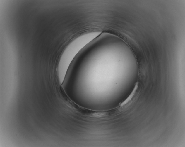 X0000113100172200909041233