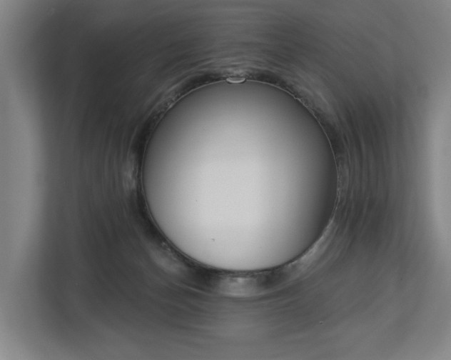 X0000113100174200909041233