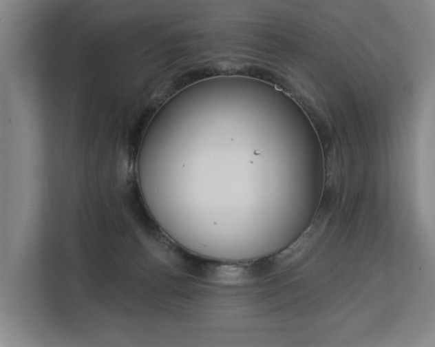 X0000113100176200909041233