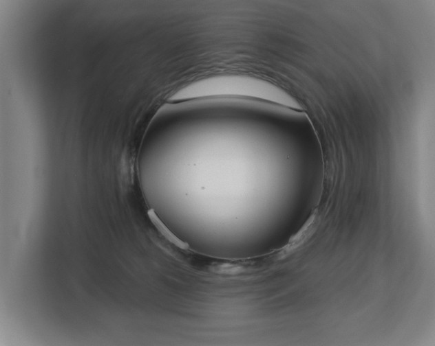 X0000113100180200909041233