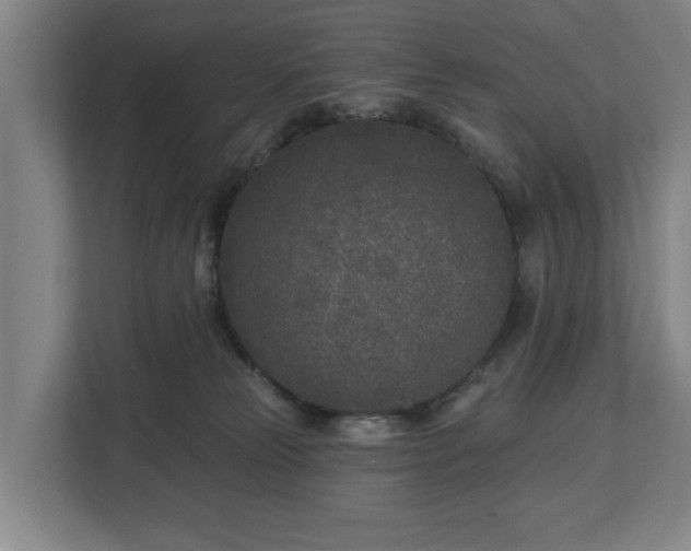 X0000113100181200909041233
