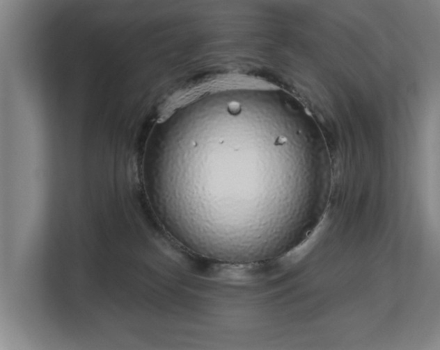 X0000113100182200909041233