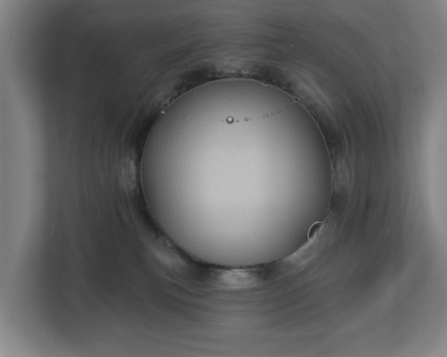 X0000113100183200909041233
