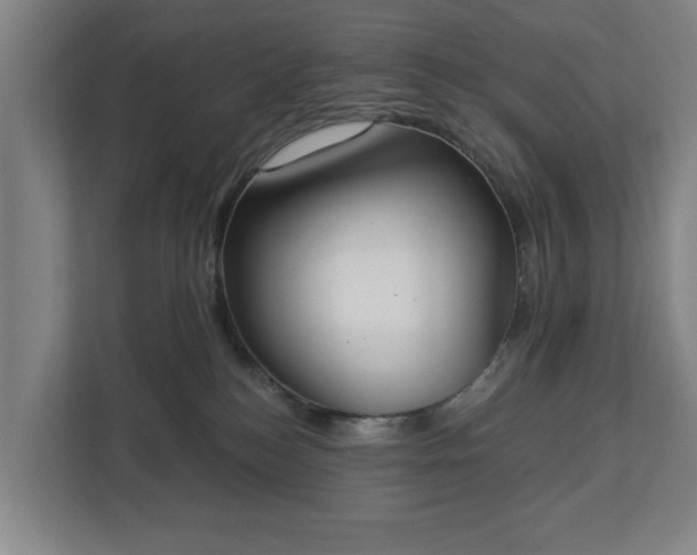 X0000113100184200909041233