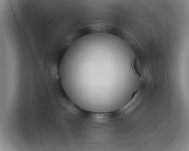 X0000113100187200909041233