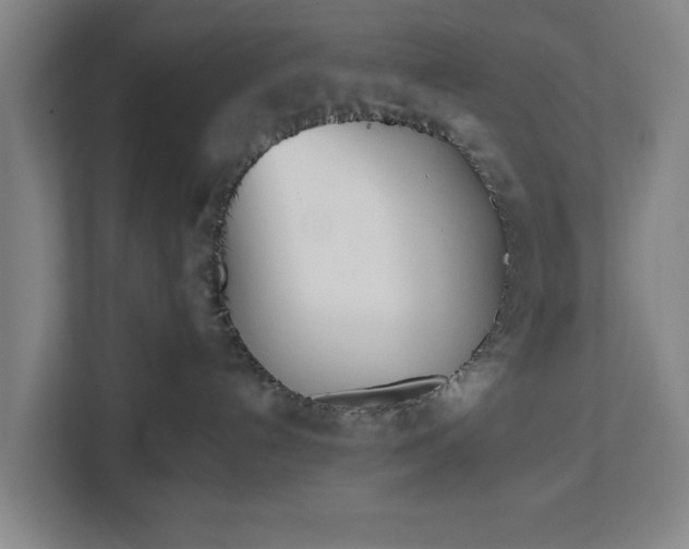 X0000113100192200909041233