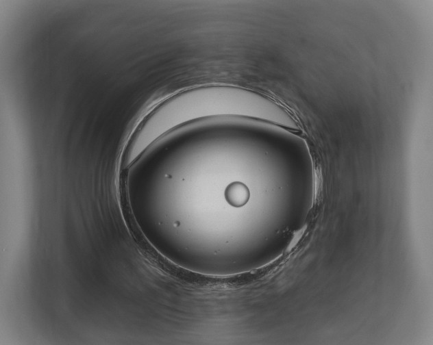 X0000113100195200909041233