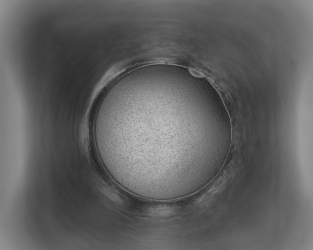 X0000113100198200909041233