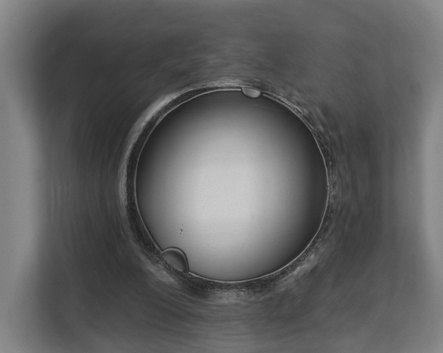 X0000113100200200909041233