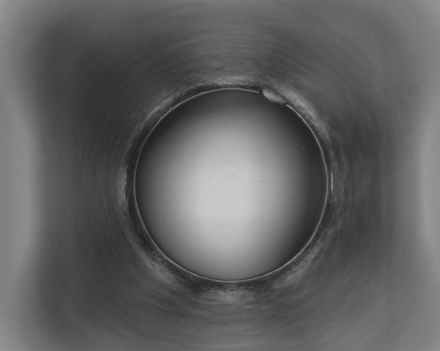X0000113100201200909041233