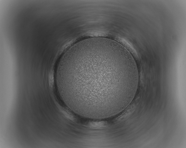 X0000113100202200909041233