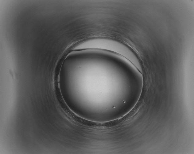 X0000113100203200909041233