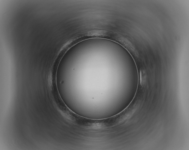 X0000113100204200909041233