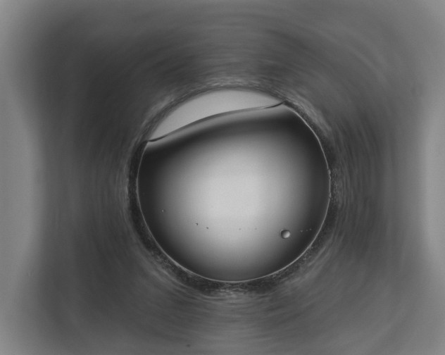 X0000113100207200909041233
