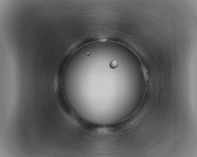 X0000113100216200909041232