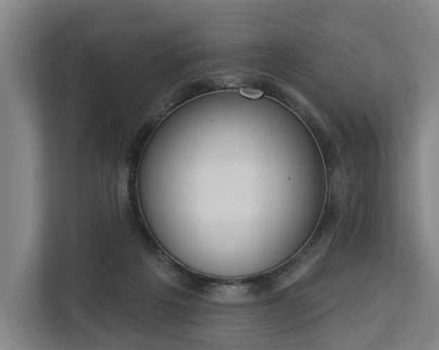X0000113100217200909041232